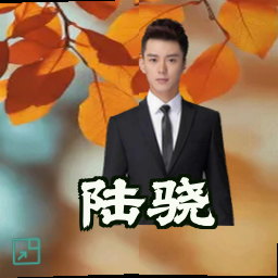 陆骁